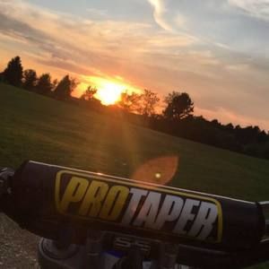 Meet your Posher, Bo